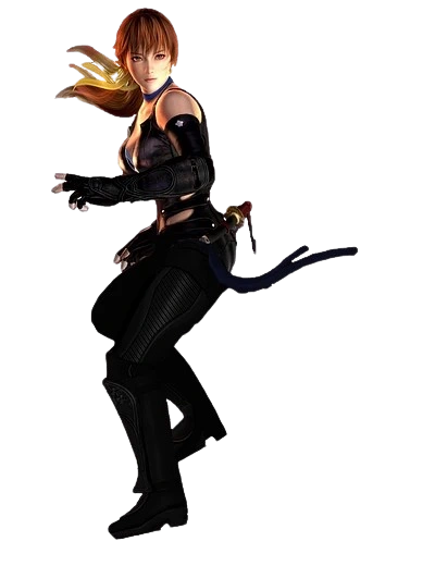 Animation - Zica Noida